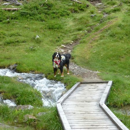 B&B,Bergheimat Oase Irschen Dış mekan fotoğraf