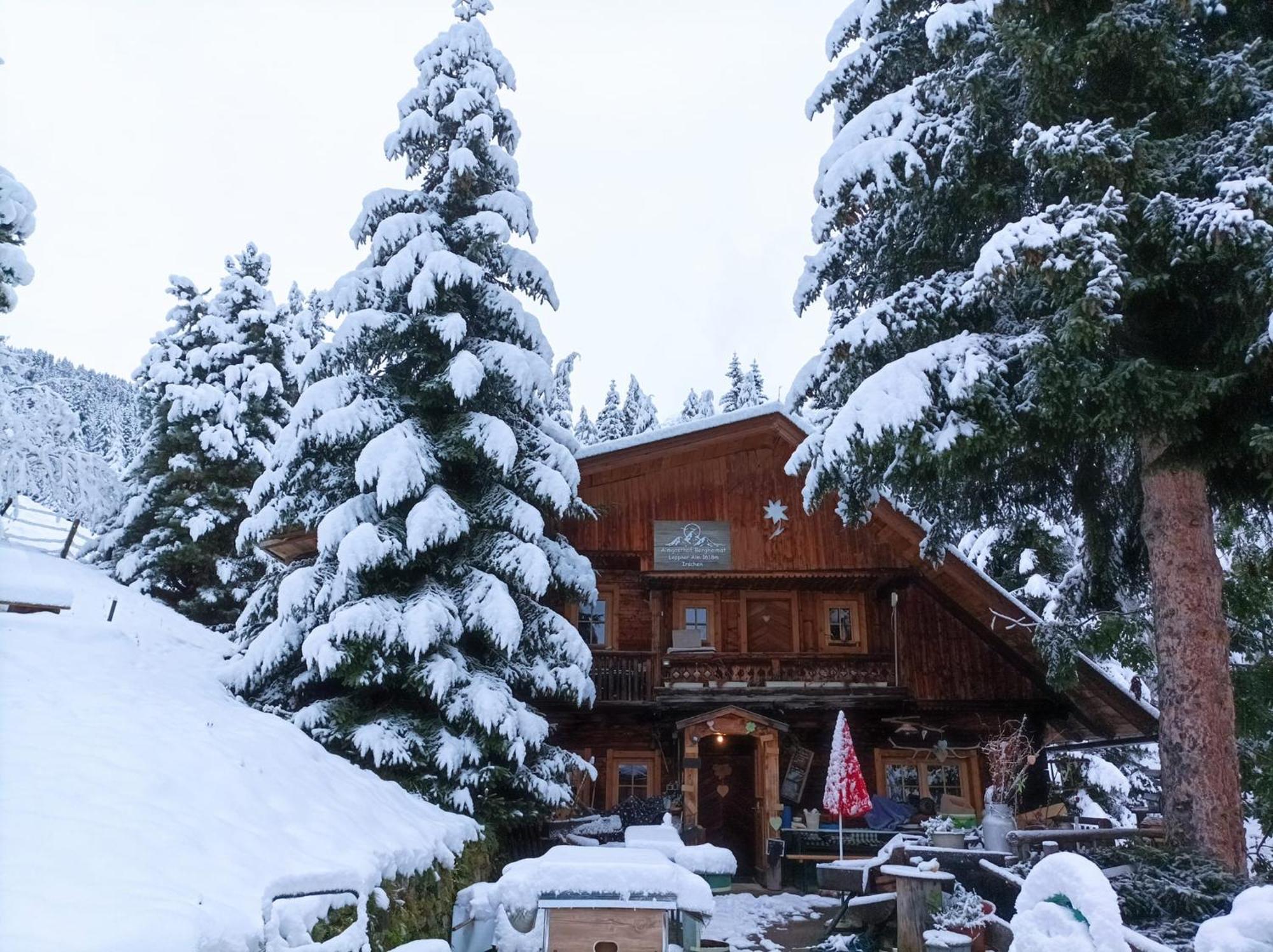B&B,Bergheimat Oase Irschen Dış mekan fotoğraf