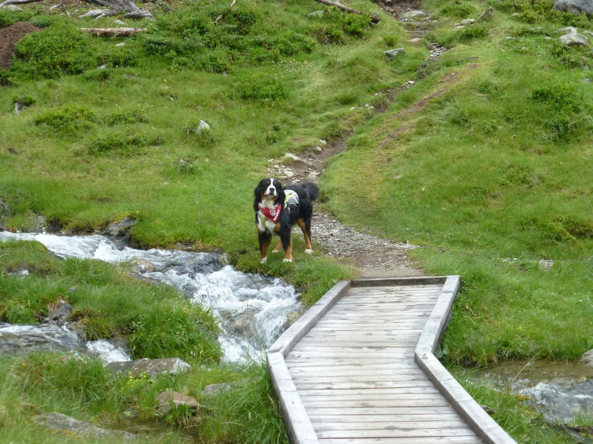 B&B,Bergheimat Oase Irschen Dış mekan fotoğraf