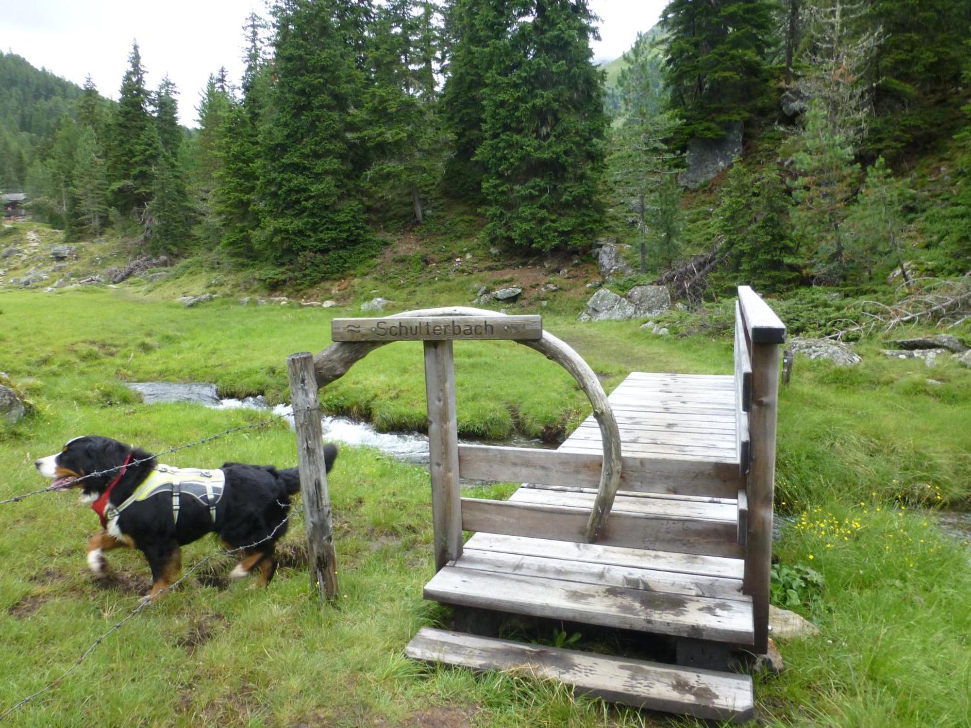 B&B,Bergheimat Oase Irschen Dış mekan fotoğraf