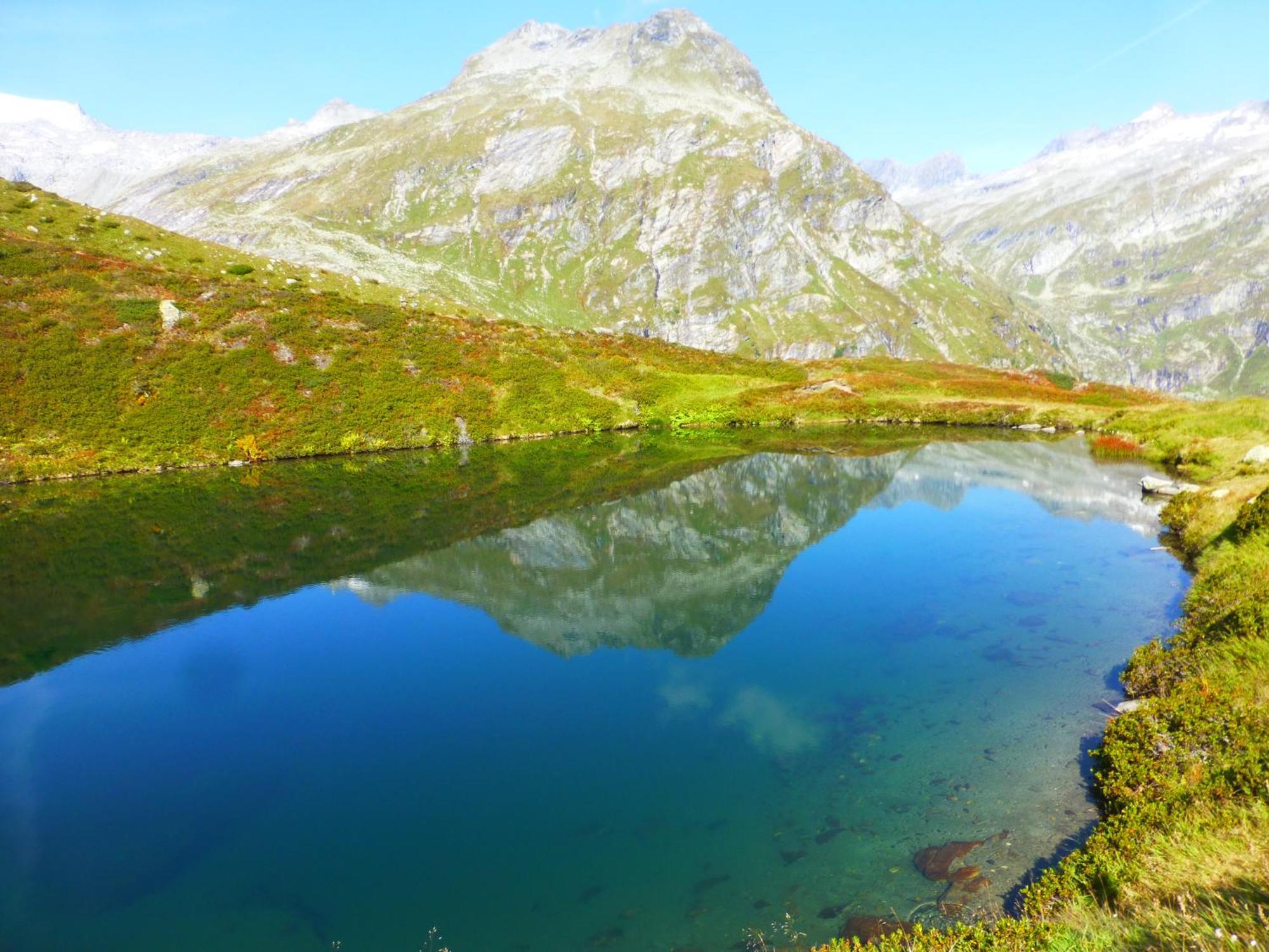 B&B,Bergheimat Oase Irschen Dış mekan fotoğraf