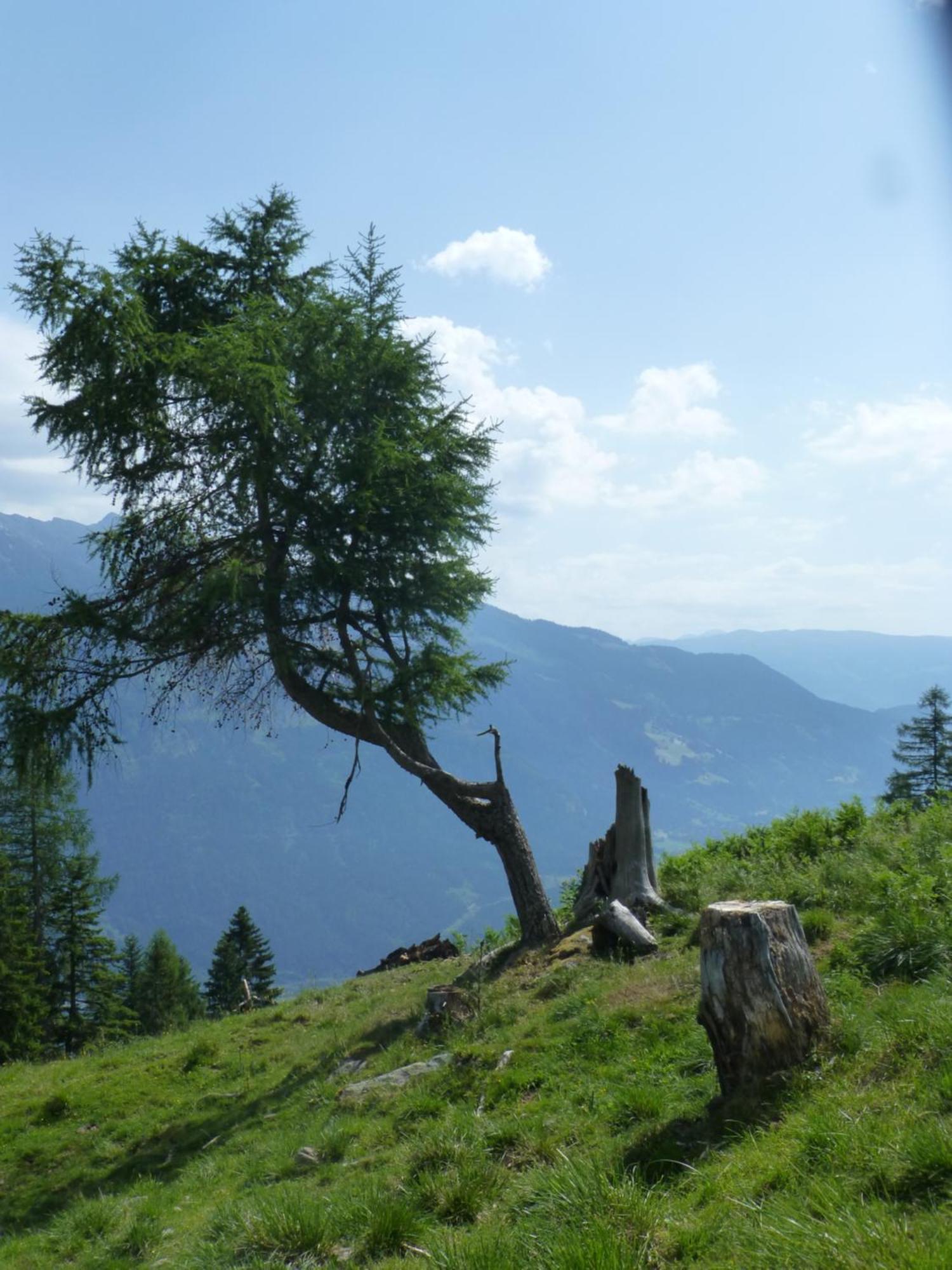 B&B,Bergheimat Oase Irschen Dış mekan fotoğraf