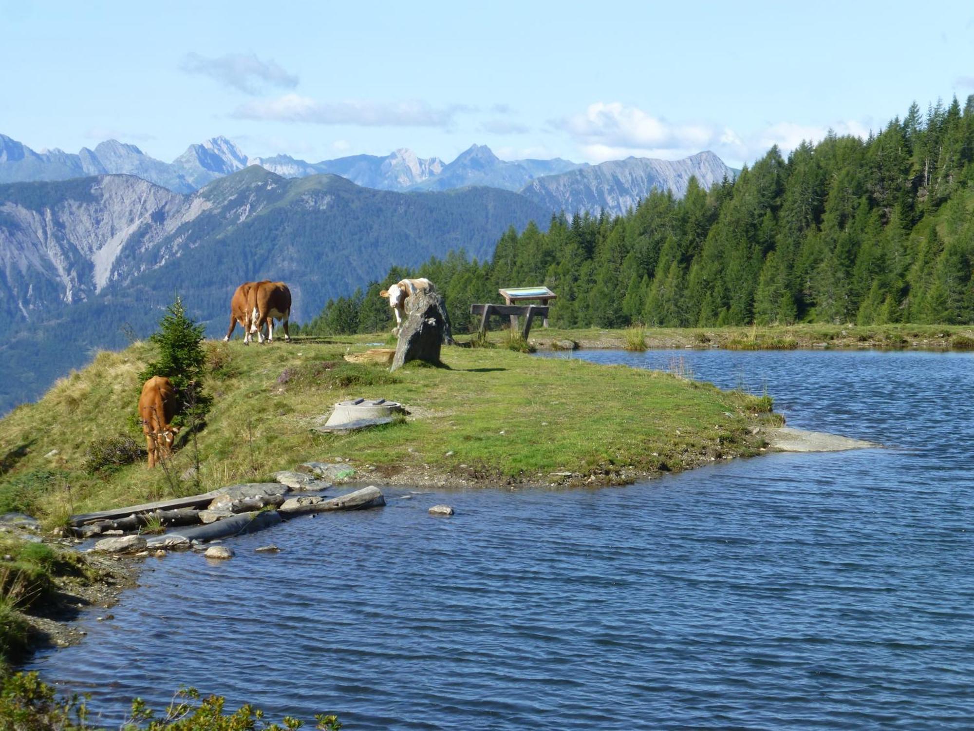 B&B,Bergheimat Oase Irschen Dış mekan fotoğraf